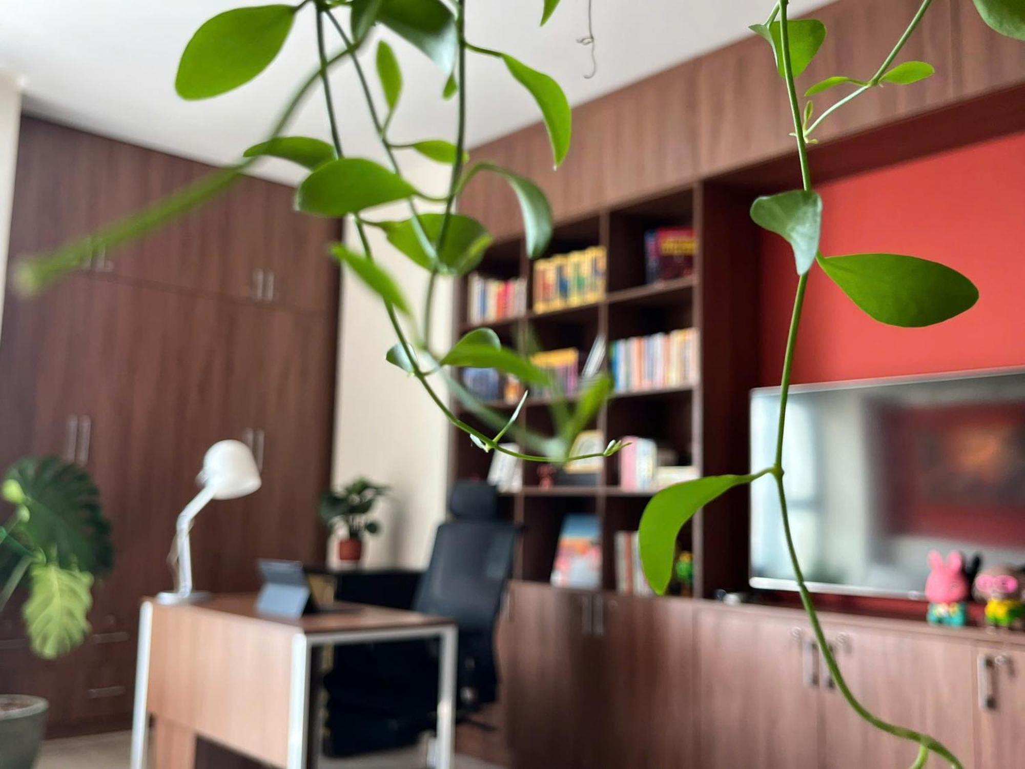 Work & Rest Secc Apartamento *